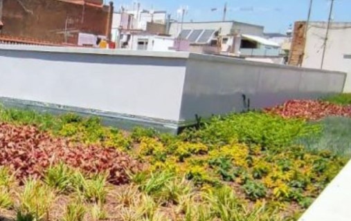 Techos verdes 3